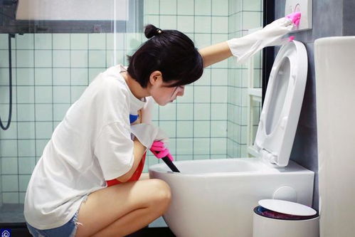 小熊清洁马桶的怎么用?